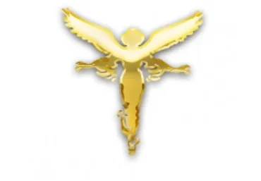 Сеанс эмоционального исцеления в преддверии коридора затмений августа 2017 (Светлана Белицкая)