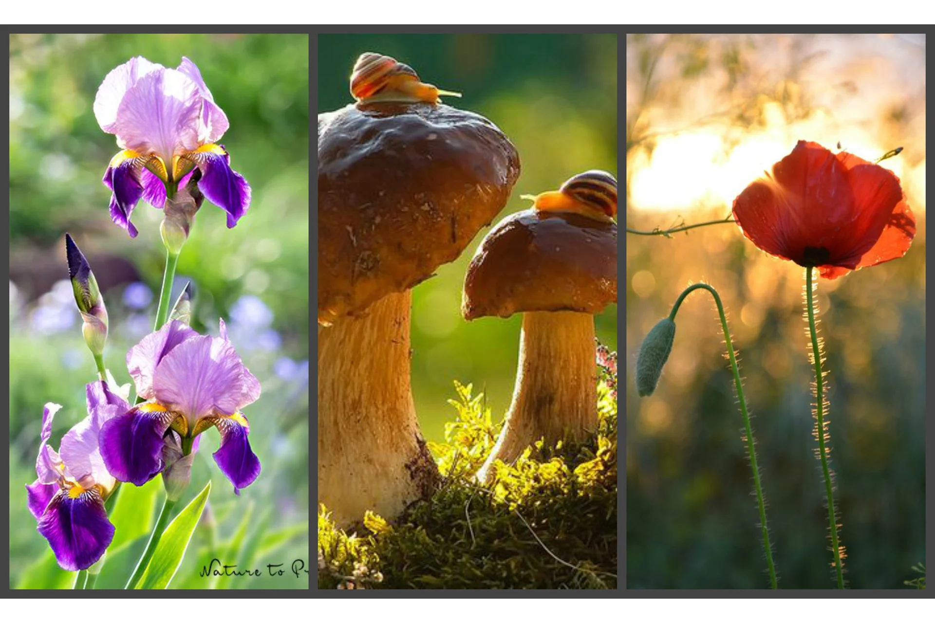 Я подарю вам свет (Татьяна Букреева), фото 1 из 1.
