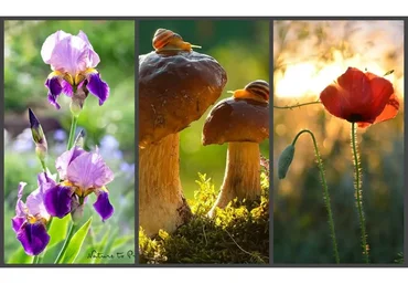 Я подарю вам свет (Татьяна Букреева)