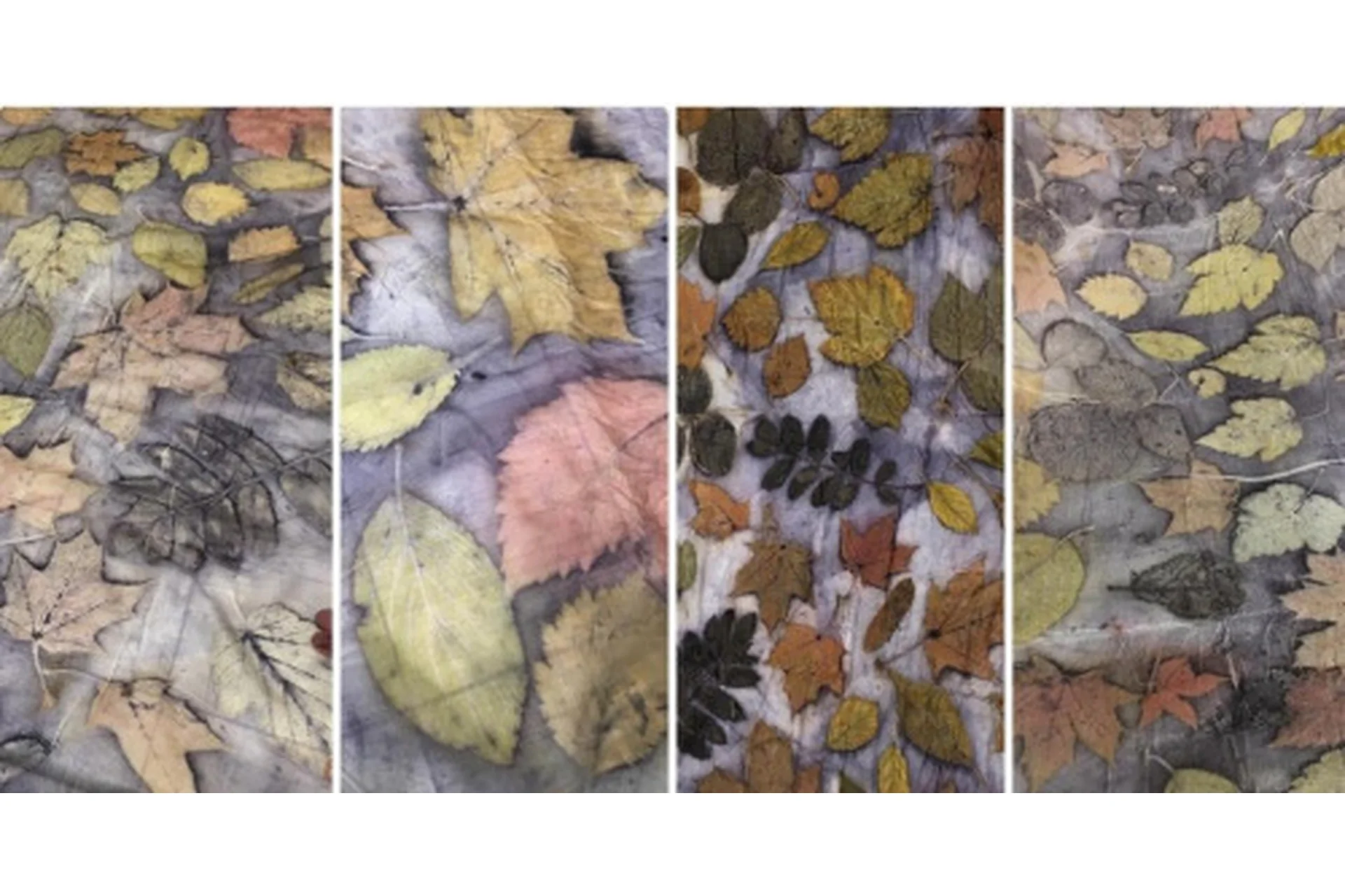 [Шкатулочка] Палантин «Серебро осени». Крашение в технике «Ботанический принт» (Марина Журавлева), фото 1 из 1.