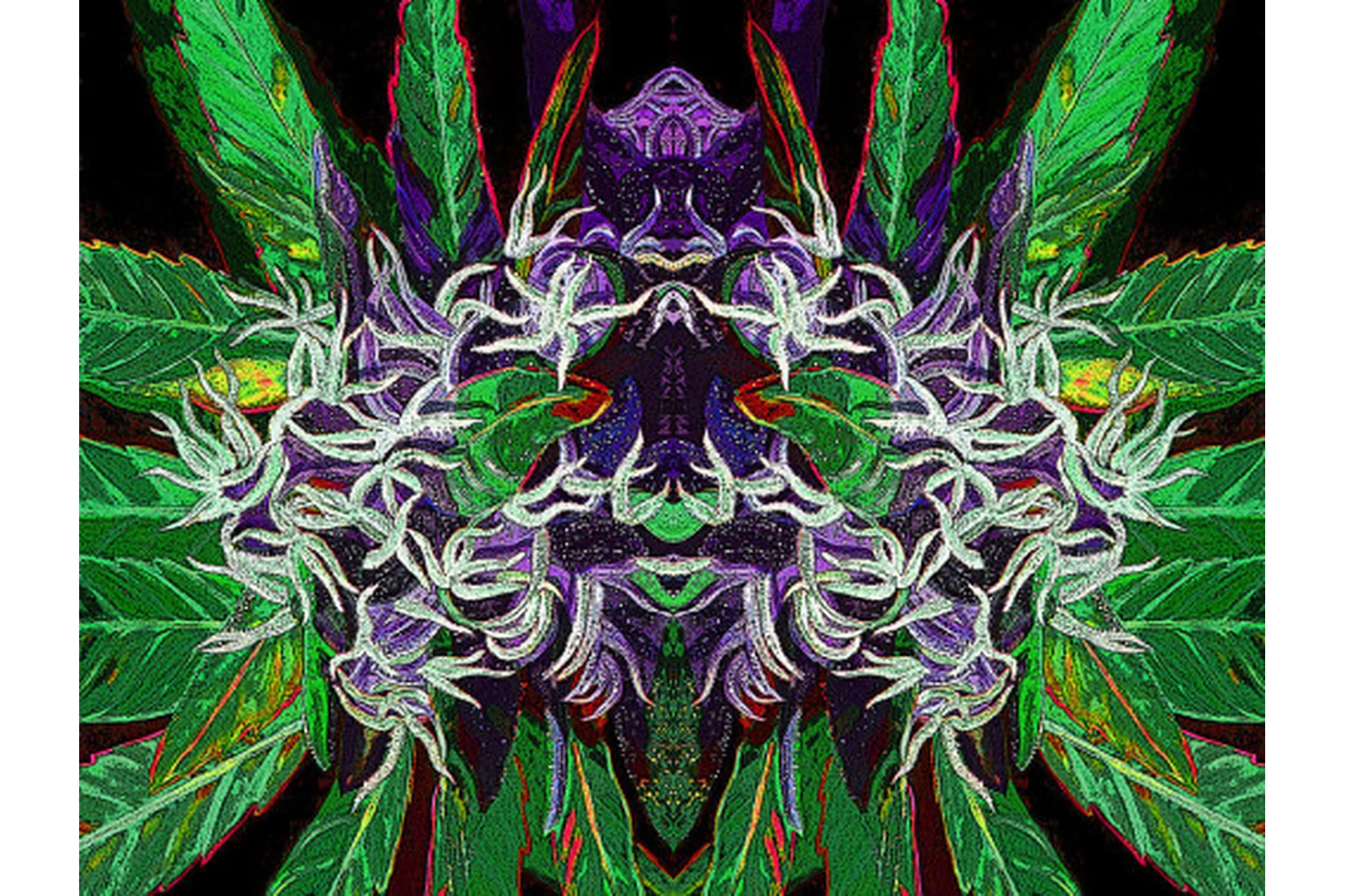 Цифровой каннабис. Крепкий кофе (Эрик Томпсон), фото 1 из 1.