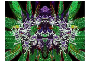 Цифровой каннабис. Крепкий кофе (Эрик Томпсон)