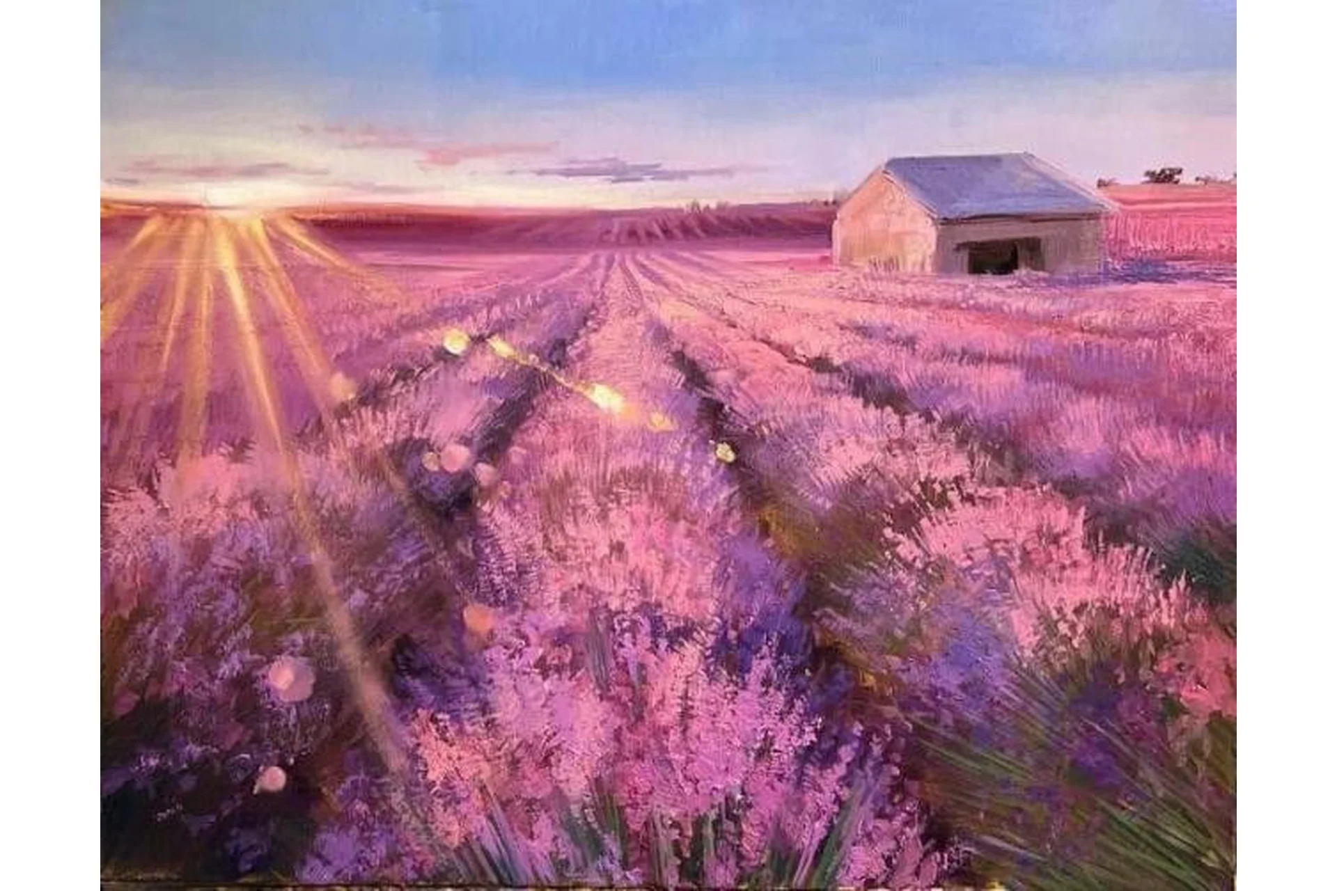 Лаванда (Анна Маратканова), фото 1 из 1.