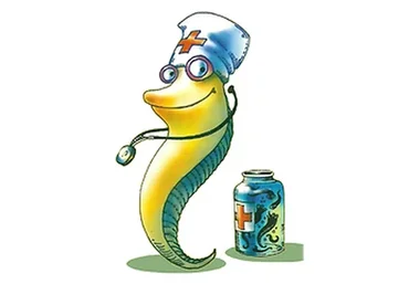 Оздоровление пиявками в Аюрведе (Борис Рогозин)