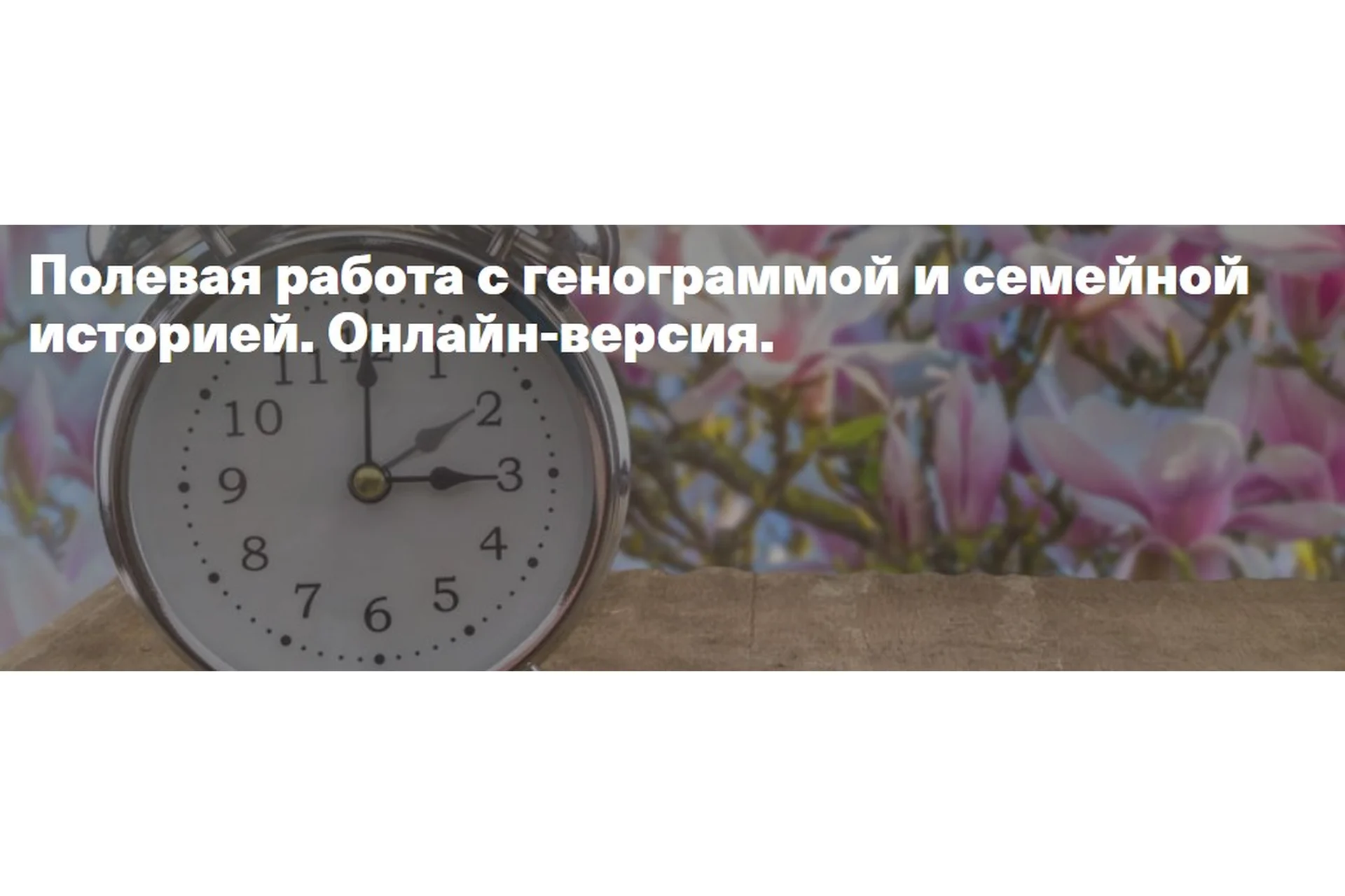 Полевая работа с генограммой и семейной историей (Елена Веселаго), фото 1 из 1.