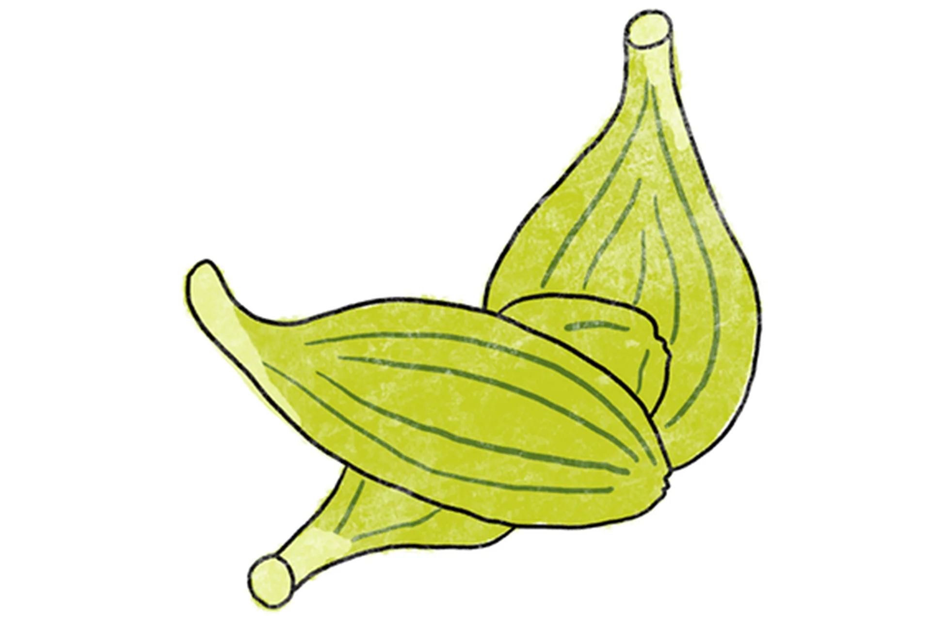 [Школа доктора Крутова] Как специи меняют вашу жизнь 2.0. Тариф Начальный (Кирилл Копыльцов), фото 1 из 1.