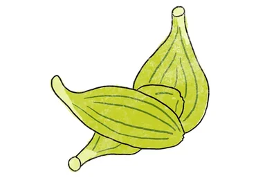 [Школа доктора Крутова] Как специи меняют вашу жизнь 2.0. Тариф Начальный (Кирилл Копыльцов)