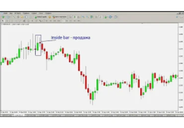 Стратегия для форекс: 200 пунктов в день без лосей (Ольга Гаряева)