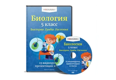 [videouroki] Биология 5 класс. Бактерии. Грибы. Растения (ФГОС)