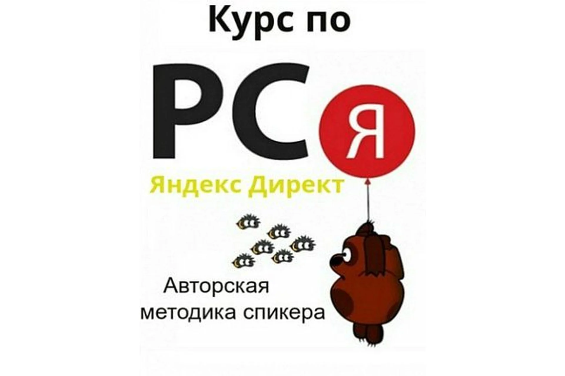 Курс по РСЯ Яндекс Директ. Авторская методика спикера (Алексей Коновалов), фото 1 из 1.
