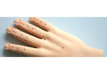 Акупунктура по Методу Баланса, Цепи акупунктурных меридианов (Екатерина Федотова, Джеймс Спирс)