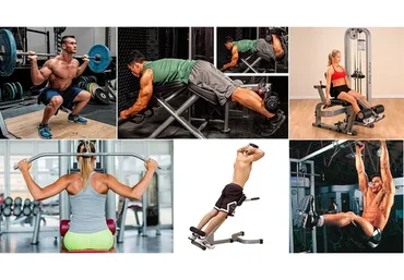 Обучающий видеокурс по технике выполнения упражнений в тренажерном зале