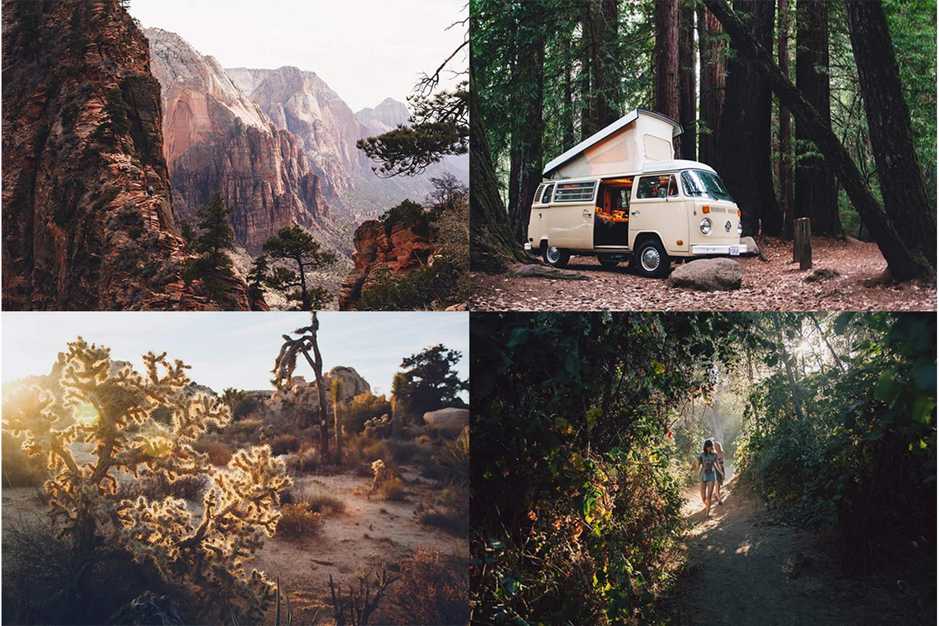 [Priime] Профессиональные Пленочные Пресеты. Priime LR Presets, фото 1 из 1.