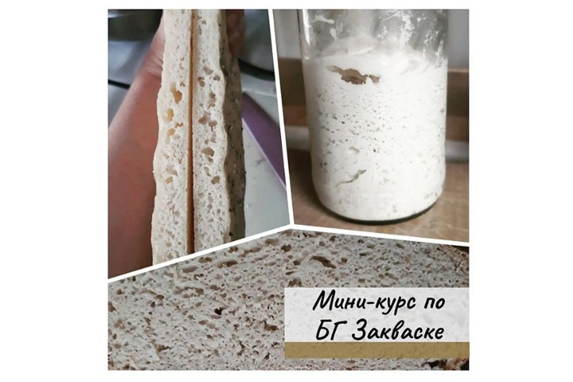 [mazaika] БГ закваска для хлеба (Анна Дроздова), фото 1 из 1.