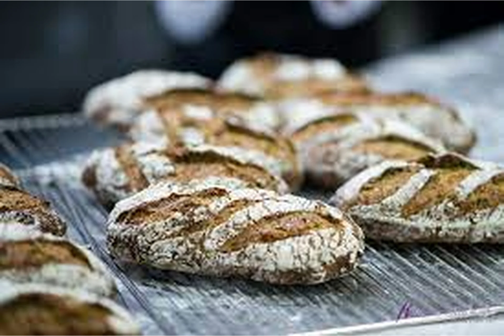 [PastryCampus]  Основы здорового хлебопечения (Мария Селянина), фото 1 из 1.