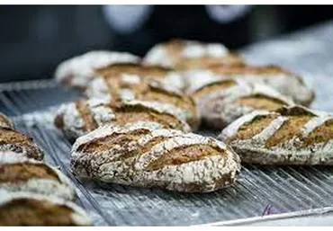 [PastryCampus]  Основы здорового хлебопечения (Мария Селянина)