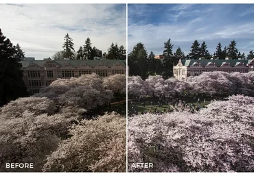 Сборник пресетов, 4пака, Lightroom (Alexander Zhuk)