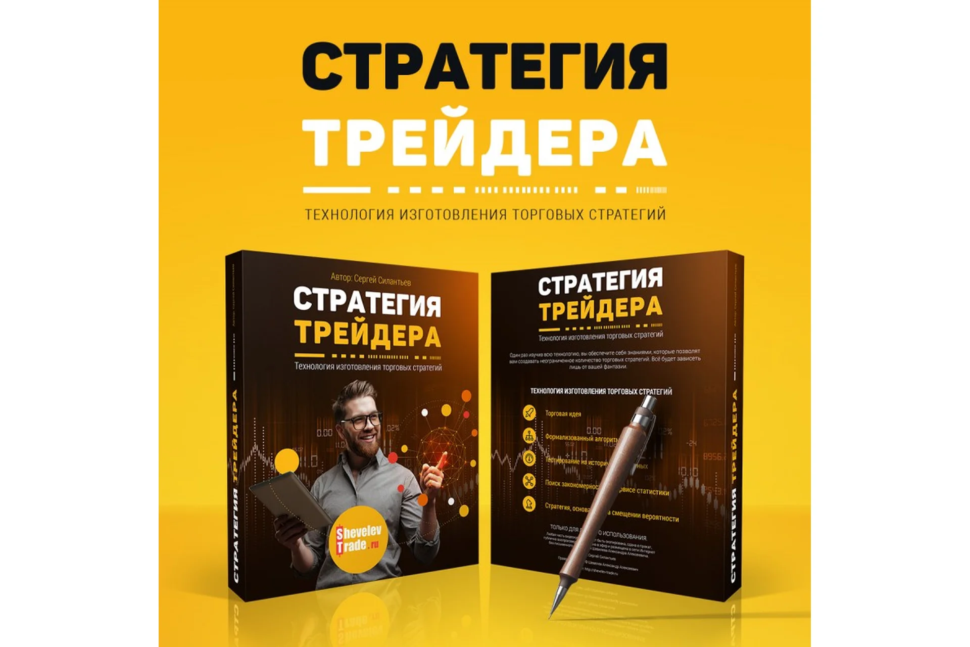 Стратегия трейдера (Александр Шевелев), фото 1 из 1.