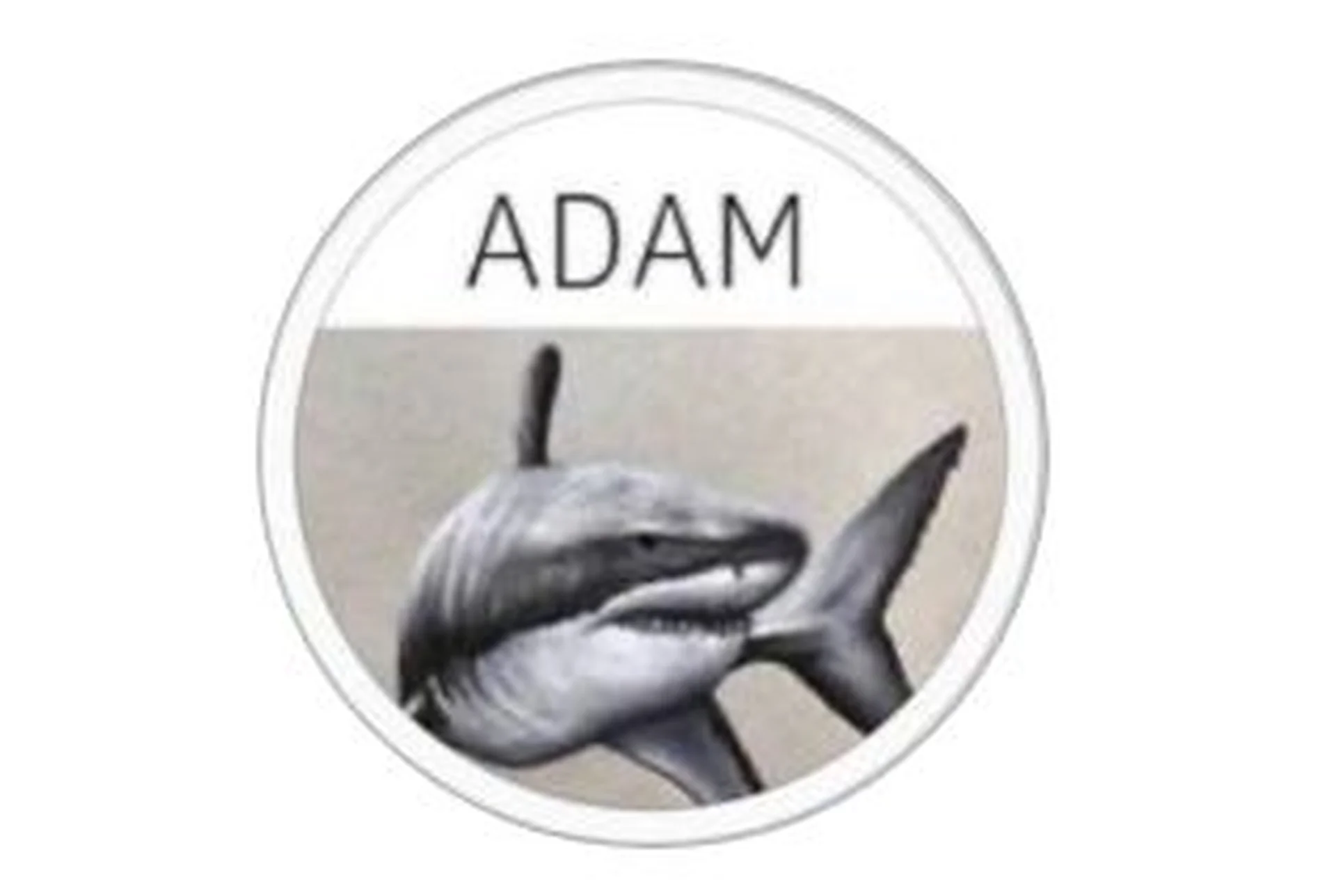 Адаптивное мышление. Базовые инструменты психики 7.0 (growup.happy), фото 1 из 1.