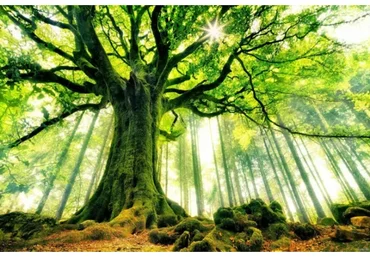 Дело жизни. Предназначение (Екатерина Сокальская)