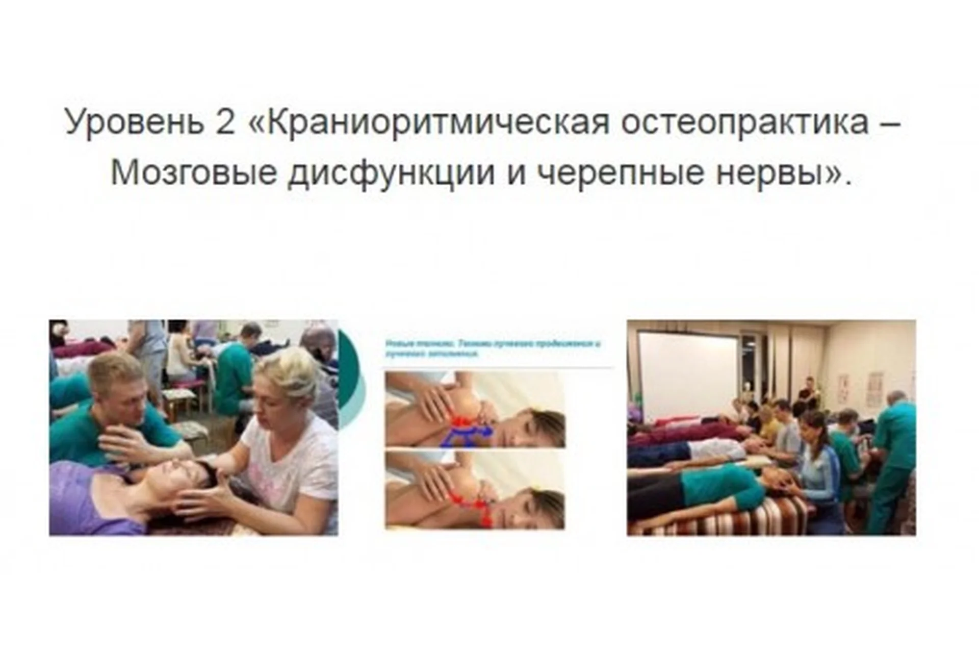 Уровень 2 Краниоритмическая остеопрактика – Мозговые дисфункции и черепные нервы (Александр Смирнов), фото 1 из 1.