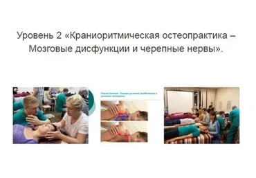 Уровень 2 Краниоритмическая остеопрактика – Мозговые дисфункции и черепные нервы (Александр Смирнов)