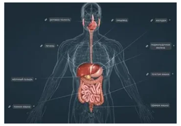Лечение болезней органов и тканей системы пищеварения, инфопродукт №13 (Юрий Фролов)