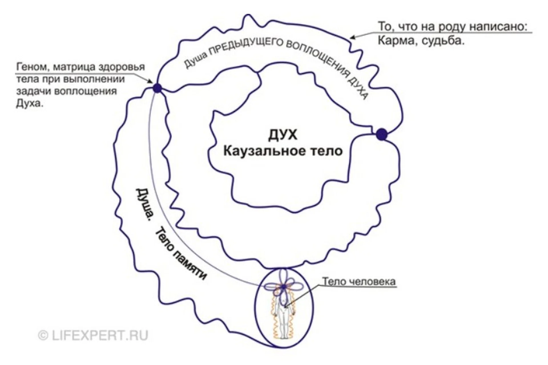 [Lifexpert] Инфокоррекция программ прошлых жизней (Вячеслав Губанов, Дмитрий Губанов), фото 1 из 1.