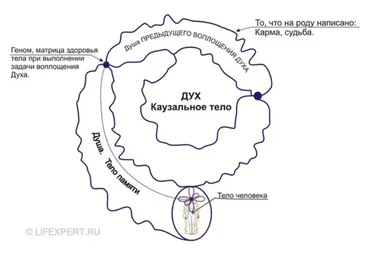[Lifexpert] Инфокоррекция программ прошлых жизней (Вячеслав Губанов, Дмитрий Губанов)