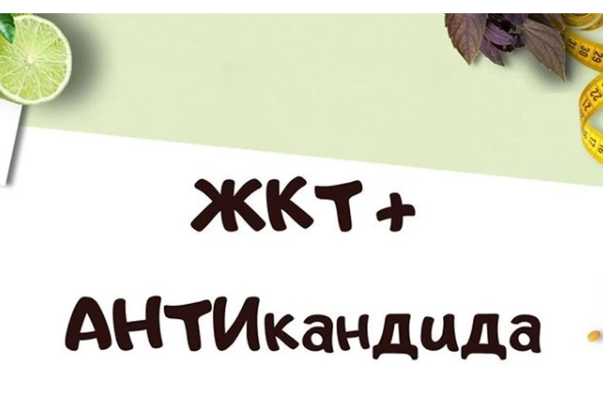 Здоровье органов ЖКТ + Антикандида (Светлана Литвиненко), фото 1 из 1.