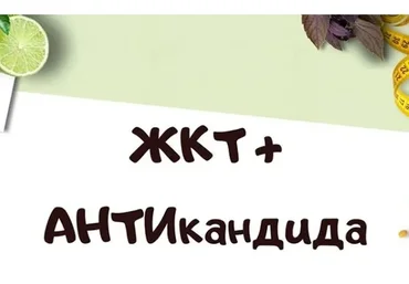 Здоровье органов ЖКТ + Антикандида (Светлана Литвиненко)