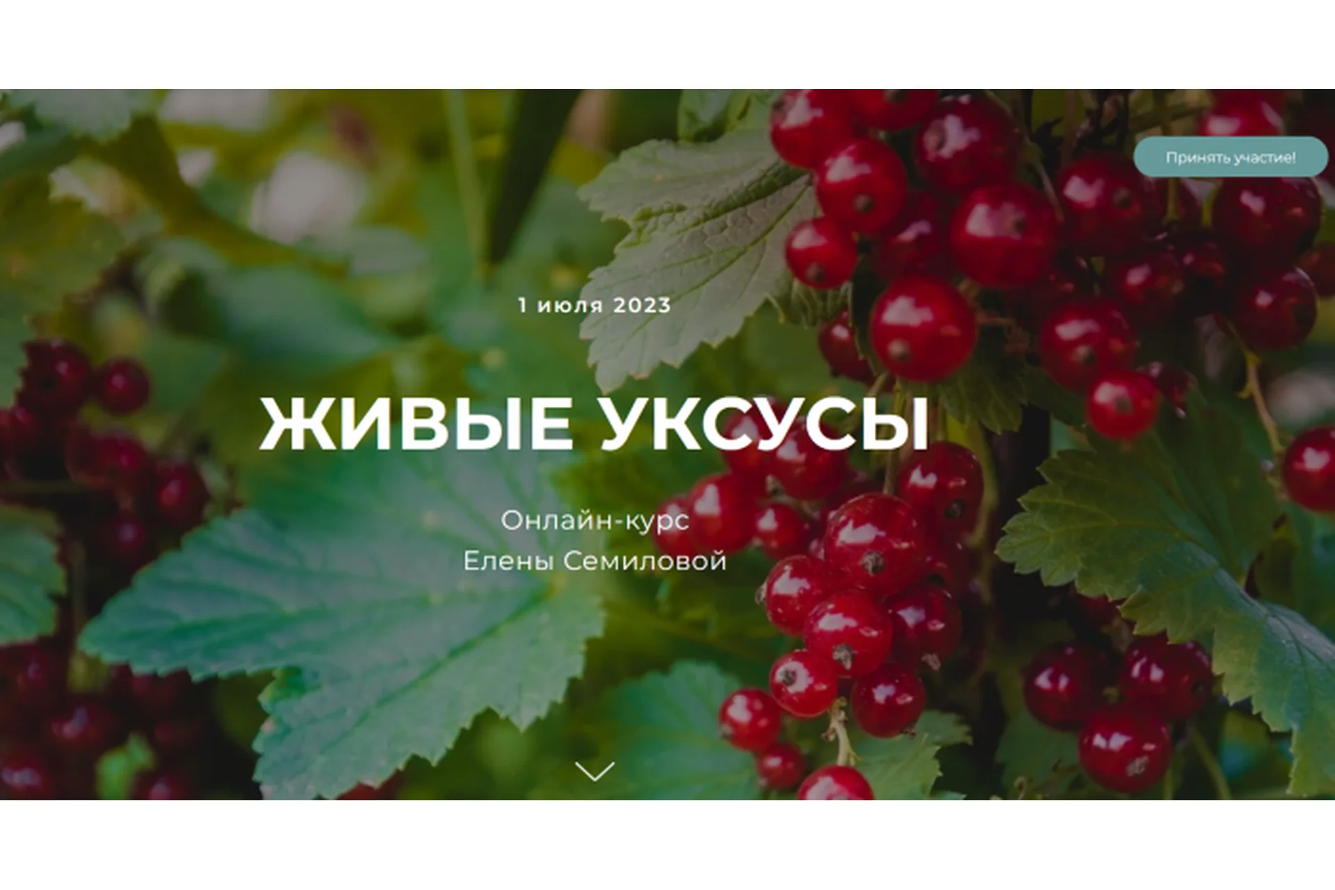 [festtrav] Живые уксусы. Тариф Стандарт (Елена Семилова), фото 1 из 1.