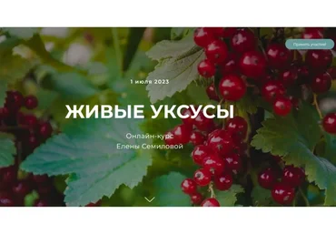 [festtrav] Живые уксусы. Тариф Стандарт (Елена Семилова)