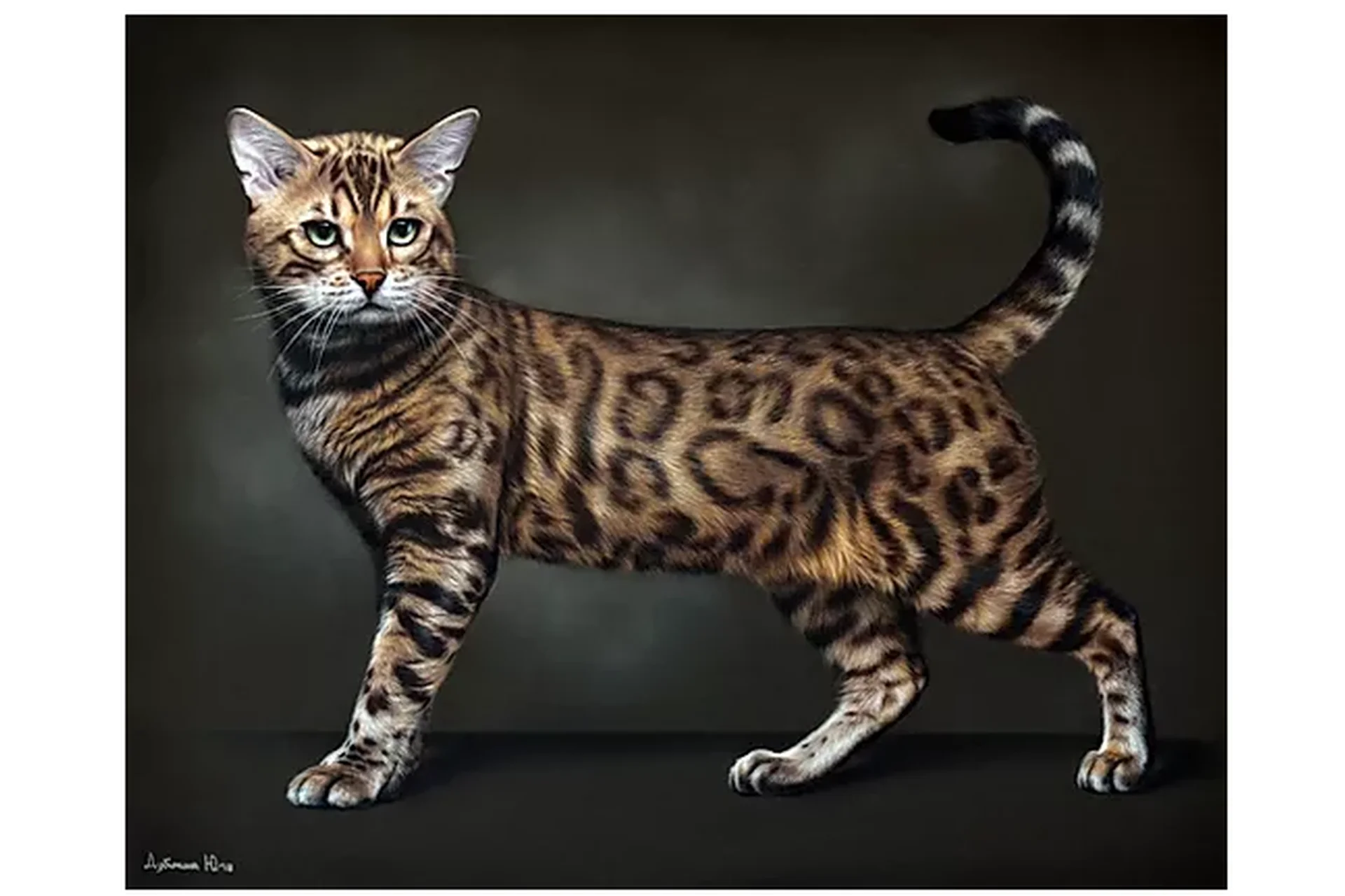 Пастельная живопись. Бенгал. Кошачьи (Юлия Дубинина), фото 1 из 1.