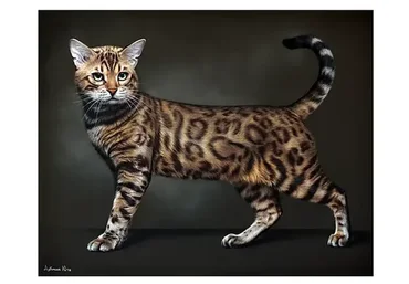 Пастельная живопись. Бенгал. Кошачьи (Юлия Дубинина)