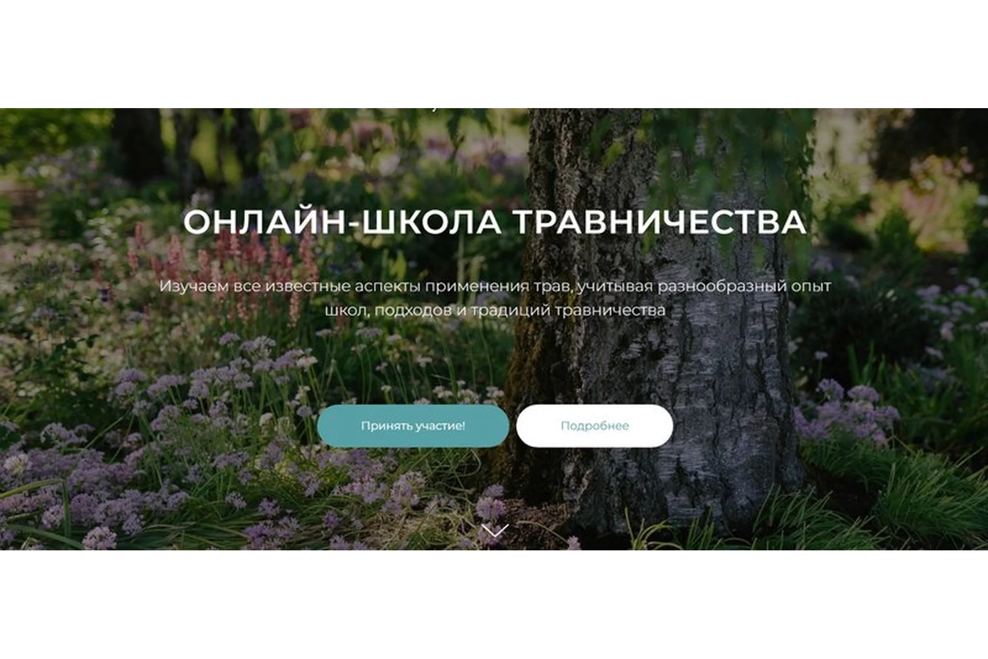 [festtrav] Онлайн-школа травничества. Тариф Цветочки (Ирина Гудаева, Сергей Апполонов), фото 1 из 1.