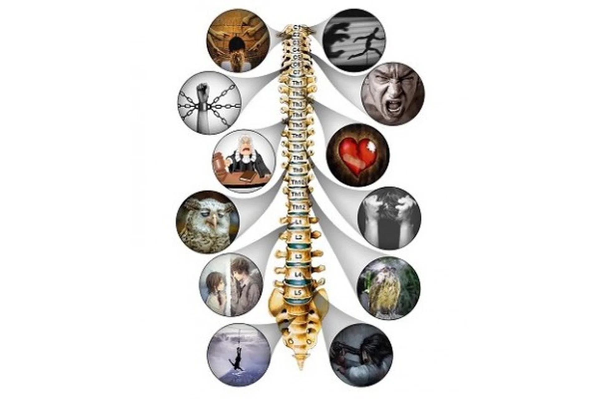 Позвоночник: мировая ось, 2016 (Павел Григал), фото 1 из 1.