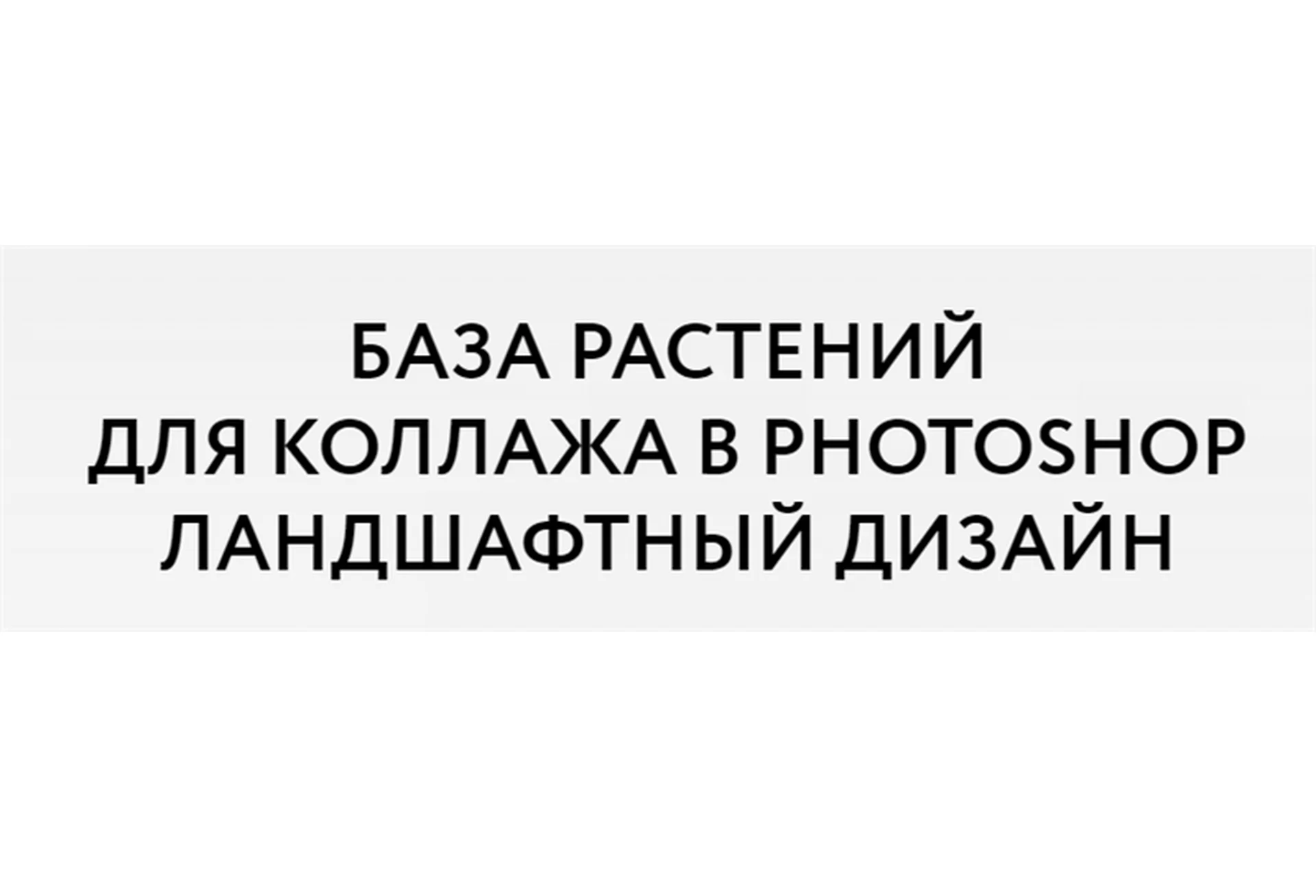 [Школа ландшафтного дизайна] База растений для коллажа в Photoshop (Оксана Хлебородова), фото 1 из 1.