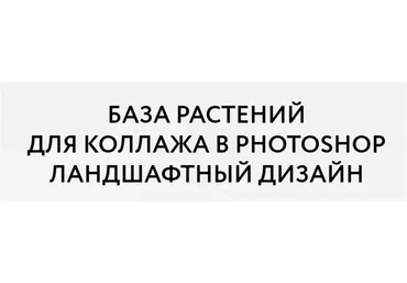 [Школа ландшафтного дизайна] База растений для коллажа в Photoshop (Оксана Хлебородова)