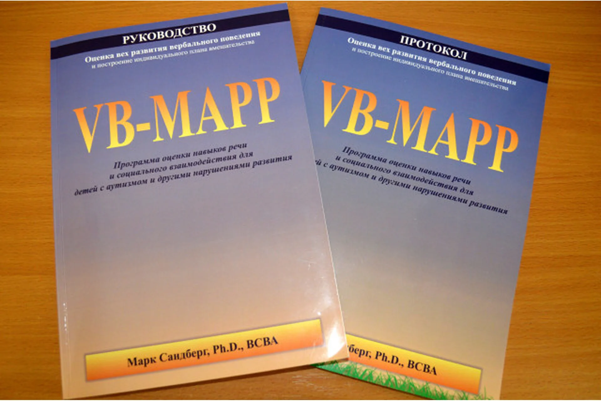 Vb-mapp для логопедов - вебинар о диагностике и постановке целей коррекции (Ольга Мордашова), фото 1 из 1.