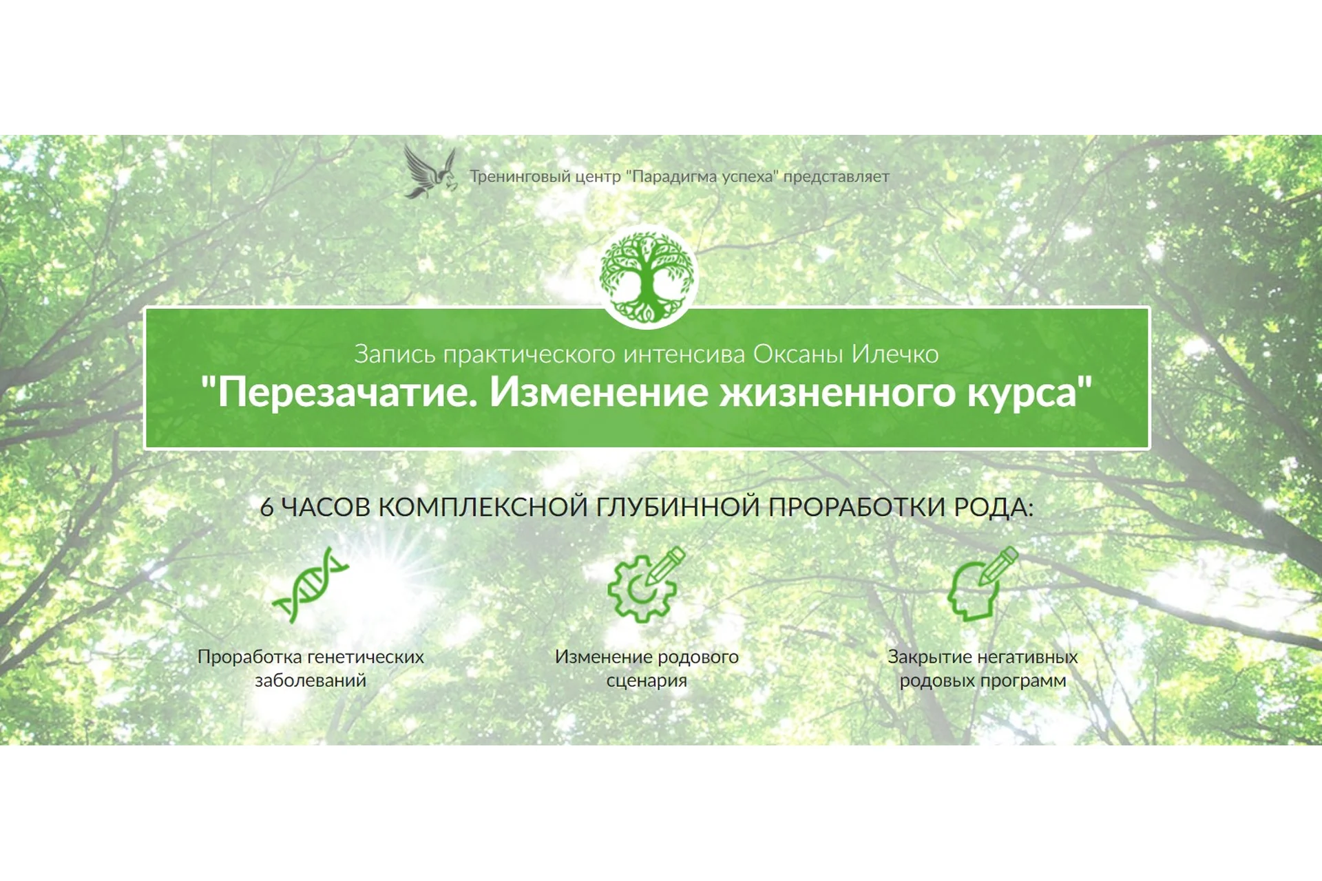 [Парадигма успеха] Перезачатие. Изменение жизненного курса (Оксана Илечко), фото 1 из 1.