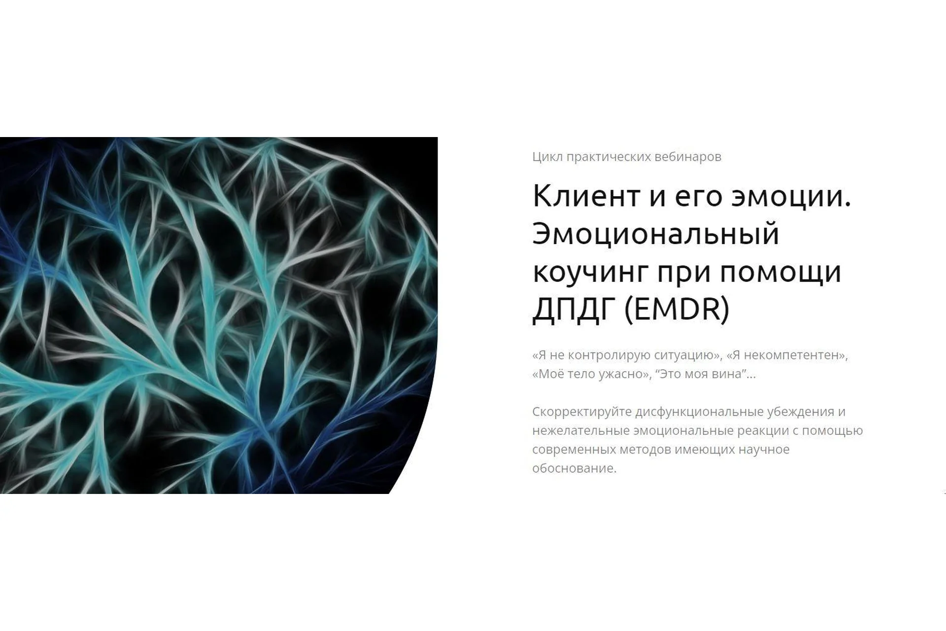 Клиент и его эмоции. Эмоциональный коучинг при помощи ДПДГ (EMDR) (Андрей Шаповалов), фото 1 из 1.