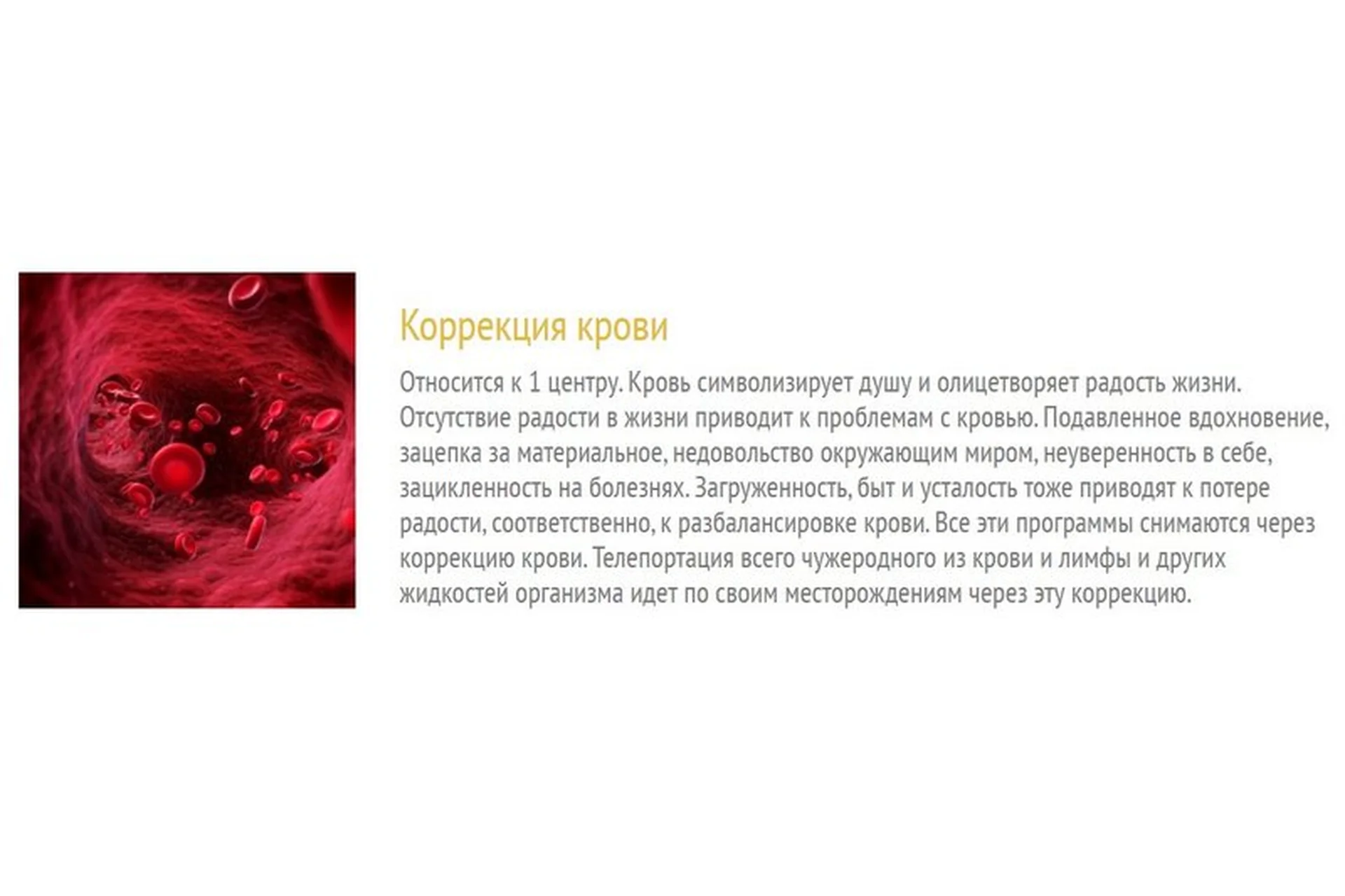 Коррекция крови (Юджиния Квант), фото 1 из 1.