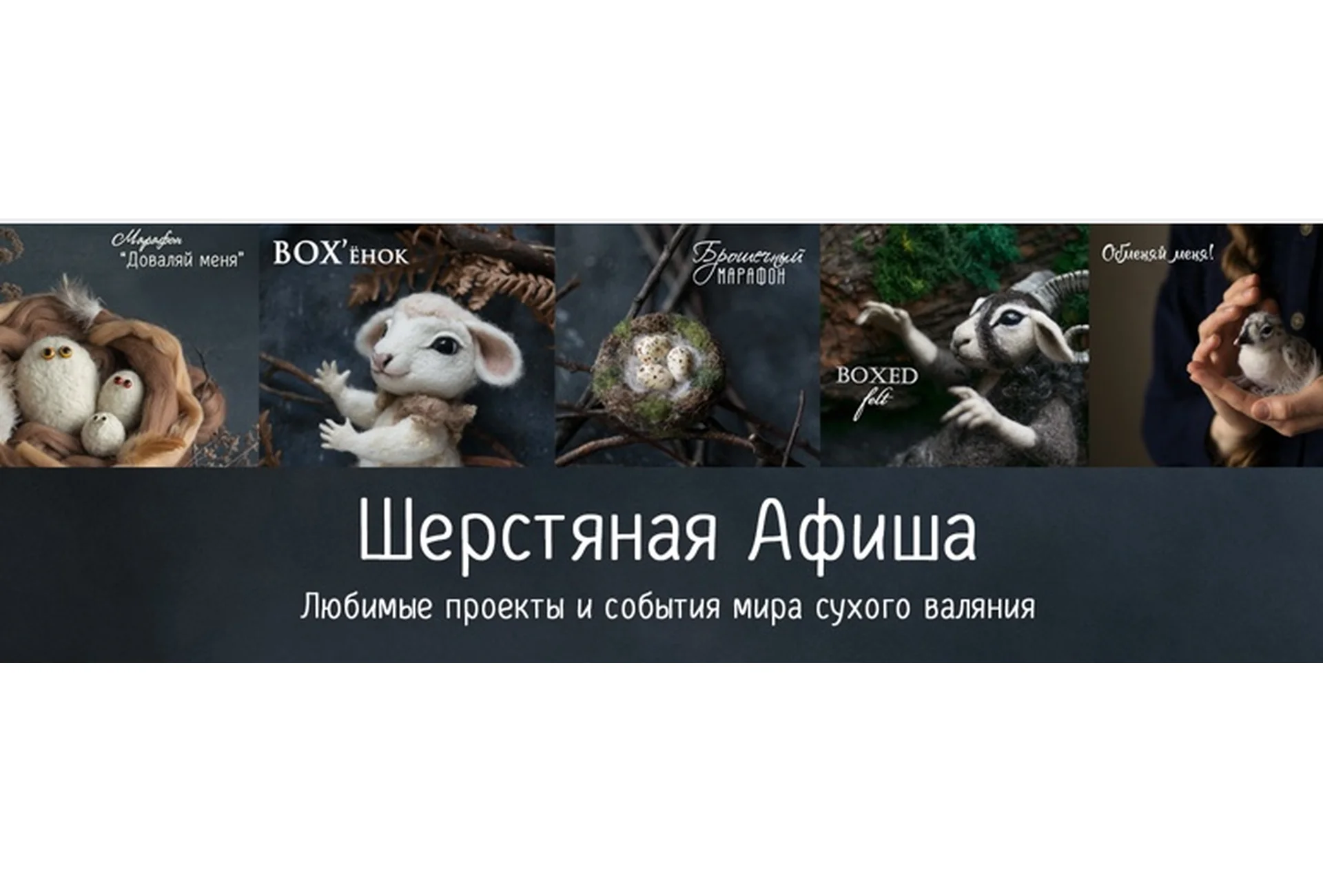 [wool_afisha] Брошечный курс (Ася Синявская), фото 1 из 1.