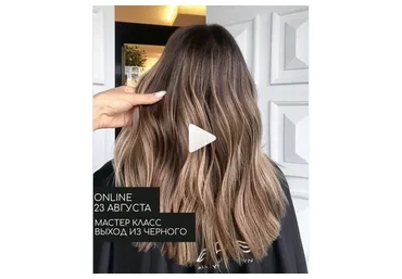 Blackout Secrets (Ольга Дементьева)