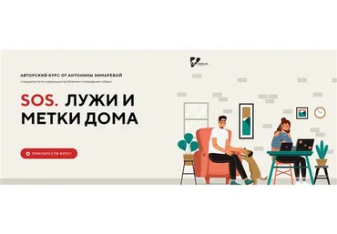 [Kinolog School] SOS. Лужи и метки дома (Антонина Зимарева)