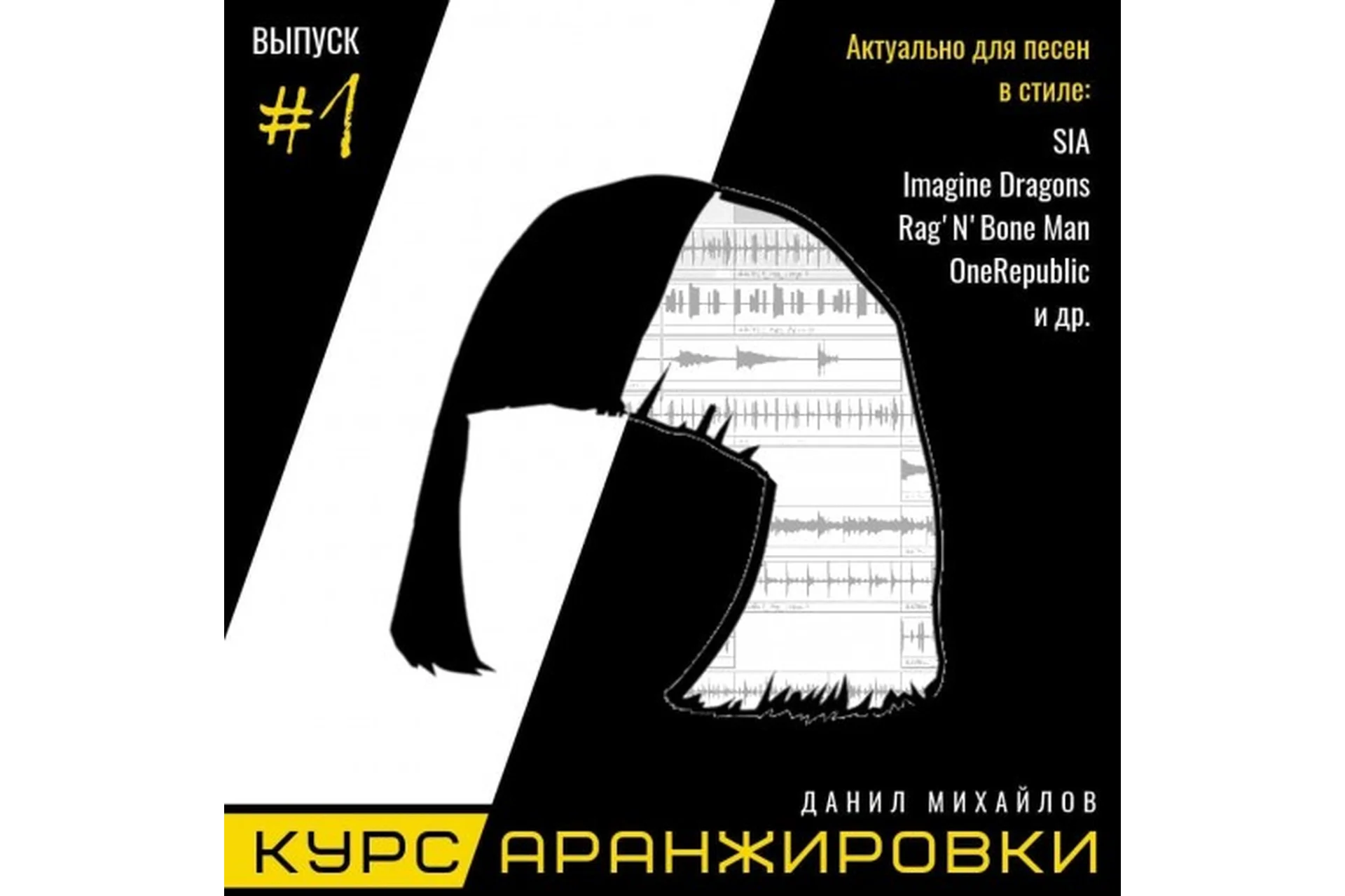 Курс аранжировки музыки. Выпуск 1 (Данил Михайлов, Роман Стикс), фото 1 из 1.