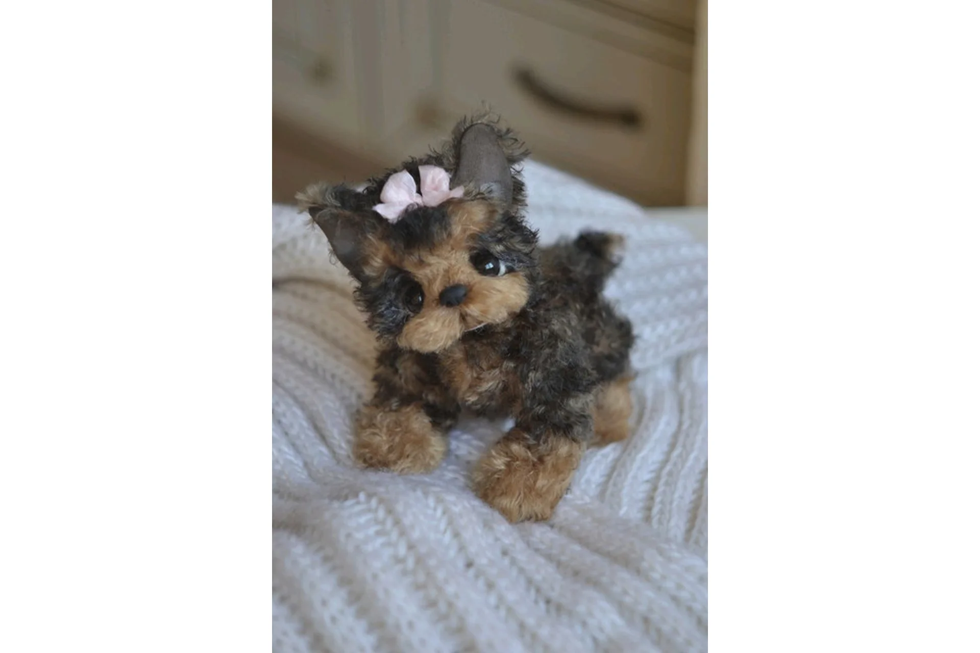 Щенок йорка (Екатерина Николаева), фото 1 из 1.