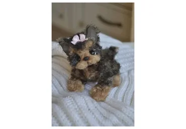 Щенок йорка (Екатерина Николаева)