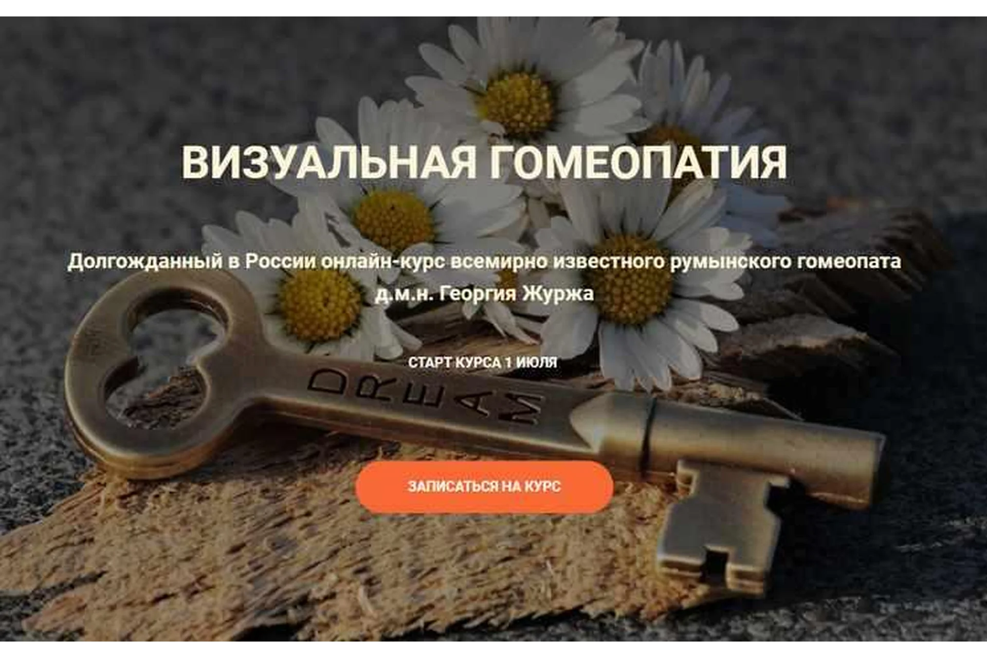 Визуальная гомеопатия. Тариф «5 занятие» (Георгий Журж), фото 1 из 1.